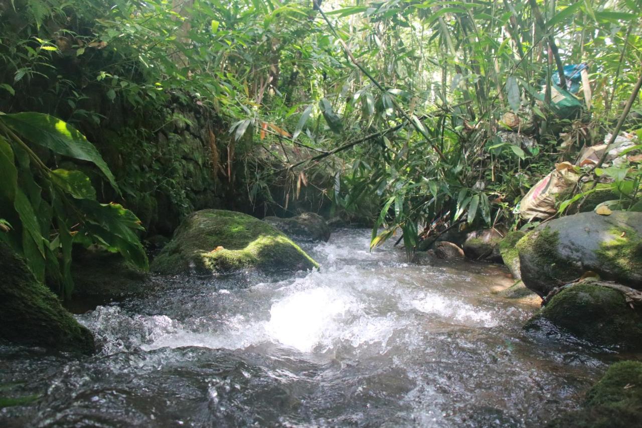 Nature Routes Cottage مونار المظهر الخارجي الصورة